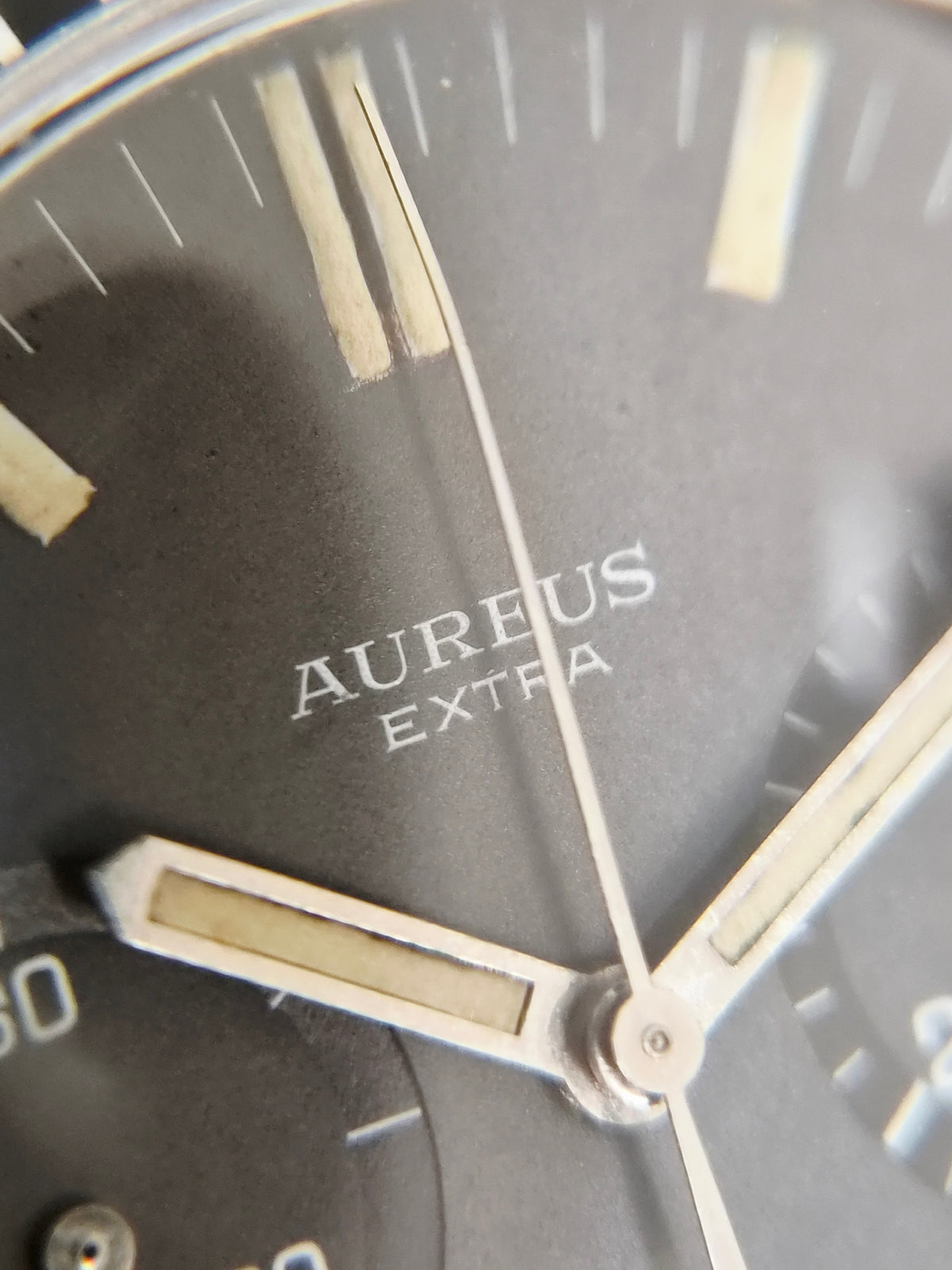 Aureus Extra - Diver Chronograph - Valjoux 7730 - Steel Case - Salazar Mark